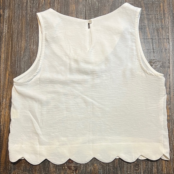 Elegant White Sleeveless Crop Top - Picture 6 of 6